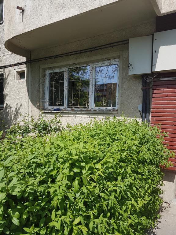 Apartamente Marian Brasov Bilik gambar
